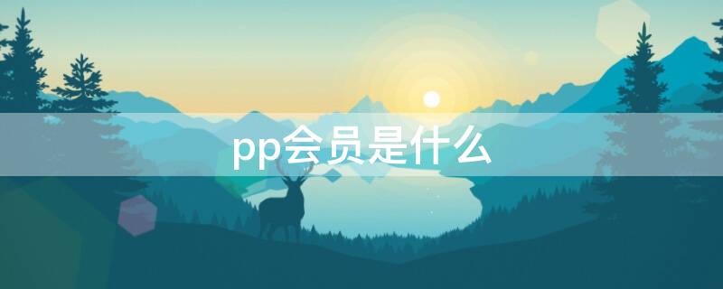 pp会员是什么（PP会员是什么意思）