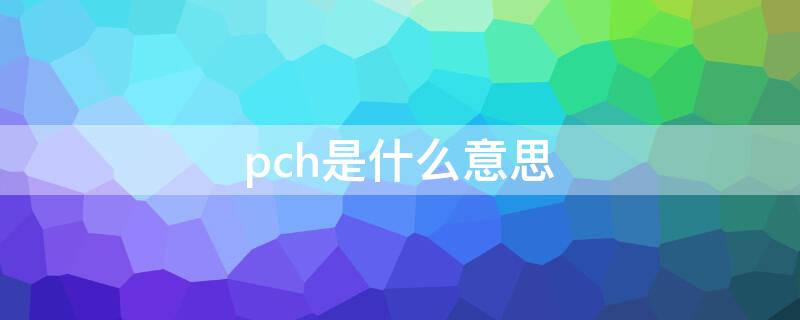 pch是什么意思（电脑pch是什么意思）