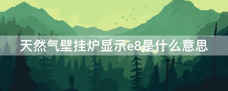 天然气壁挂炉显示e8是什么意思（燃气壁挂炉显示E8）