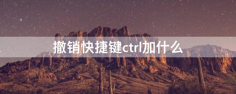 撤销快捷键ctrl加什么 电脑撤销快捷键ctrl加什么