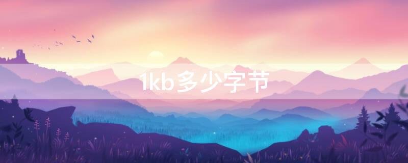 1kb多少字节（1kb是多少字节）