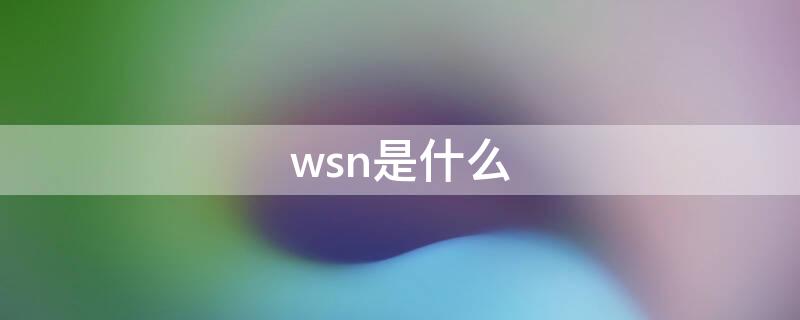 wsn是什么（WSN是什么技术）