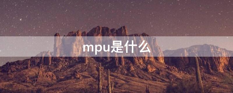 mpu是什么（mpu是什么的简称）