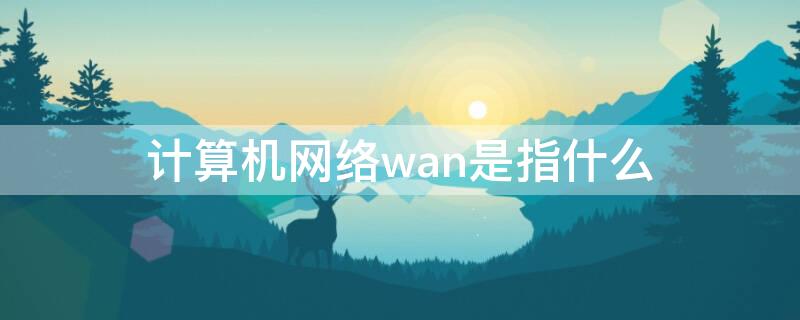 计算机网络wan是指什么（在计算机网络领域wan是什么的简称）