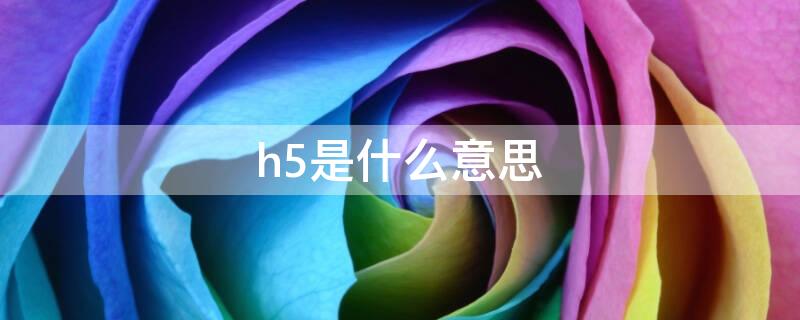 h5是什么意思 什么是H5