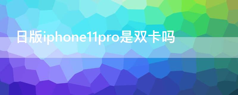 日版iPhone11pro是双卡吗（日版iphone11是双卡么）