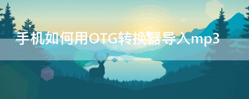 手机如何用OTG转换器导入mp3（苹果手机如何用OTG转换器导入mp3）