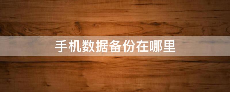 手机数据备份在哪里（手机数据备份在哪里找到）