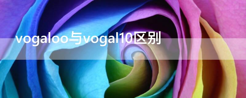 vogaloo与vogal10区别（vogal10是什么型号）