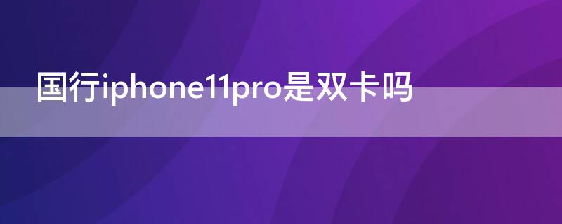 国行iPhone11pro是双卡吗（国行iphone12pro是双卡吗）