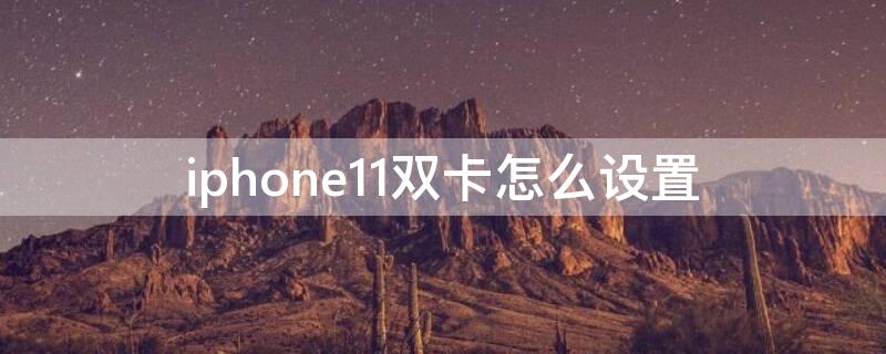 iPhone11双卡怎么设置（iPhone11双卡怎么设置通话记录用哪个卡发）