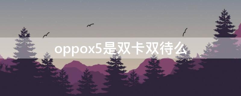 oppox5是双卡双待么（oppo find x2支持双卡双待吗）