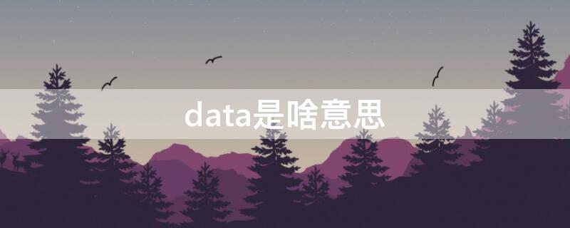 data是啥意思 Data是啥意思