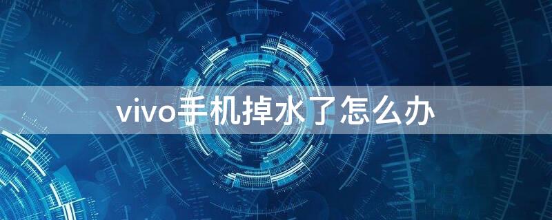 vivo手机掉水了怎么办 vivo手机掉水里了但是一切正常