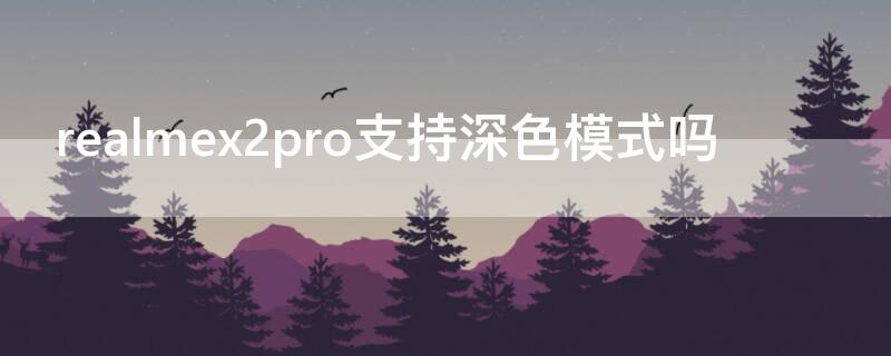 realmex2pro支持深色模式吗（realme x7pro色彩模式）