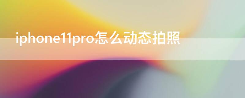 iPhone11pro怎么动态拍照 苹果11pro怎么拍动态照片