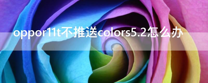 oppor11t不推送colors5.2怎么办（oppoR15适配coloros11）