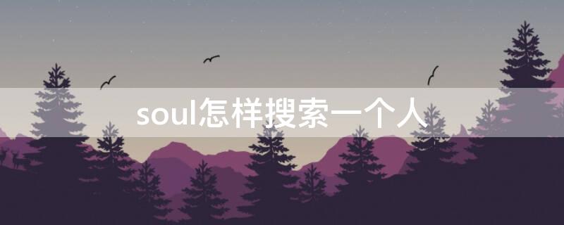 soul怎样搜索一个人（soul怎么搜索一个人）