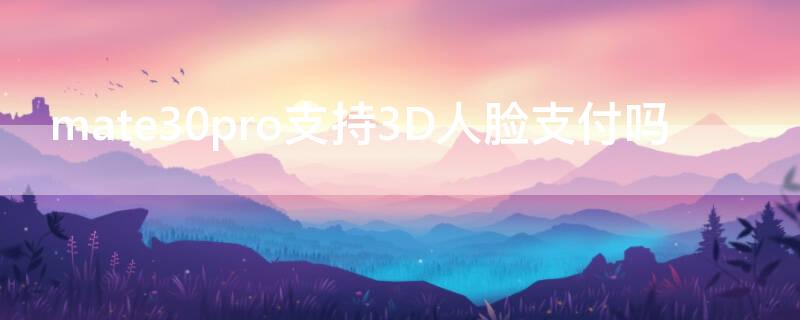 mate30pro支持3D人脸支付吗（华为mate30pro支持3d人脸支付吗）