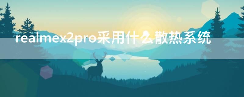 realmex2pro采用什么散热系统（realmex50pro散热）