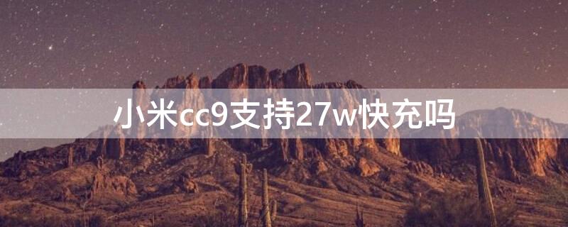 小米cc9支持27w快充吗（小米cc9支不支持27w快充）