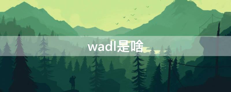 wadl是啥（wadr啥意思）