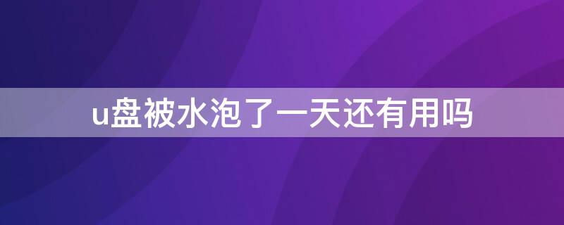 u盘被水泡了一天还有用吗 U盘泡水了还有救吗