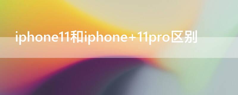 iPhone11和iPhone（iphone11和iphone13对比）