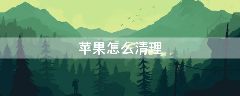iPhone怎么清理（iphone怎么清理内存垃圾清理）