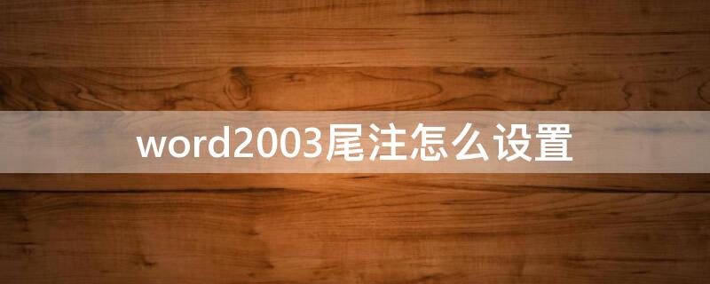 word2003尾注怎么设置（word2010尾注怎么设置）