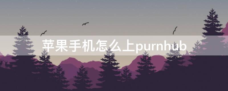 iPhone手机怎么上purnhub