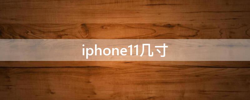 iPhone11几寸 iphone11尺寸