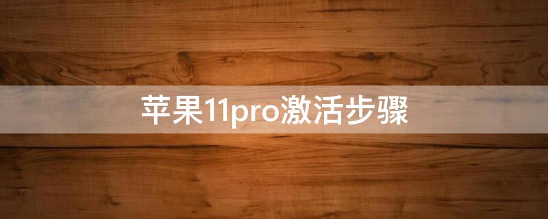 iPhone11pro激活步骤（怎样激活iphone12pro教程）