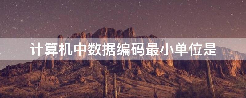 计算机中数据编码最小单位是（各类数据在计算机中的编码）