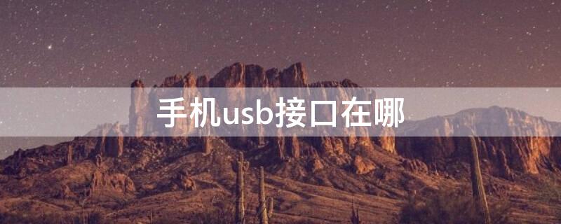 手机usb接口在哪 手机的usb口在哪