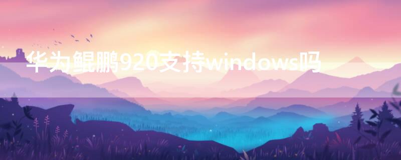 华为鲲鹏920支持windows吗 鲲鹏920 windows