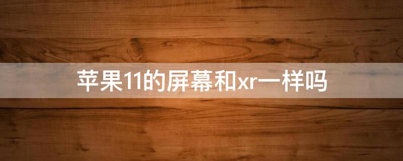 iPhone11的屏幕和xr一样吗 苹果xr和苹果xr11是一样屏吗