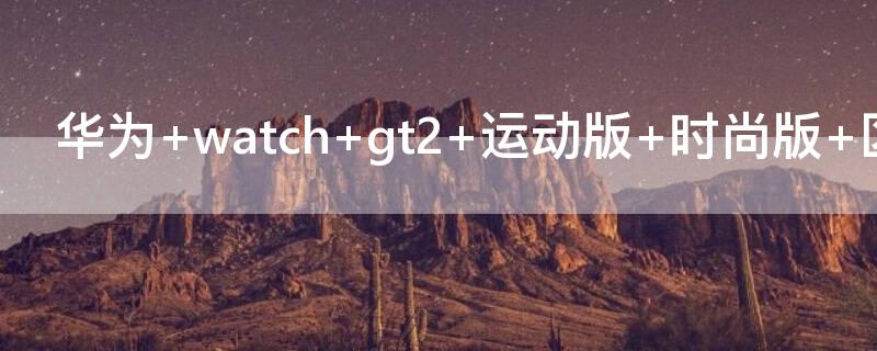 华为 华为nova10