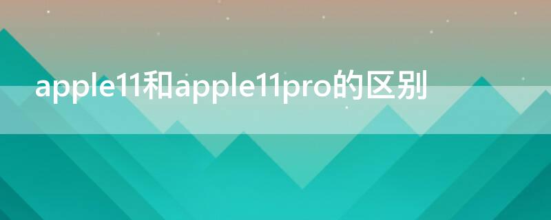 apple11和apple11pro的区别（苹果11pro和iphone11的区别）