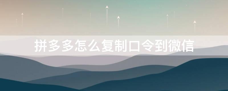 拼多多怎么复制口令到微信（拼多多复制口令怎样粘贴到微信）