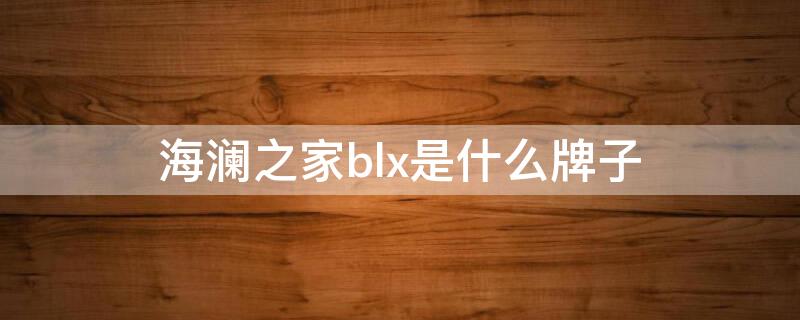 海澜之家blx是什么牌子（海澜之家blx是什么牌子的衣服）