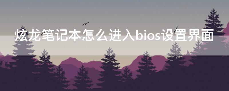 炫龙笔记本怎么进入bios设置界面 炫龙笔记本怎么进入bios设置界面模式