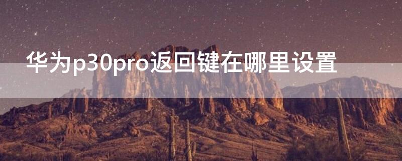 华为p30pro返回键在哪里设置（华为p30pro返回设置在哪里设置的）