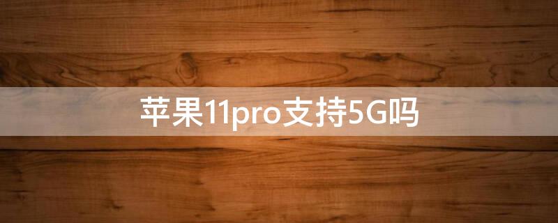 iPhone11pro支持5G吗（apple11pro支持5g吗）