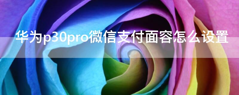 华为p30pro微信支付面容怎么设置（华为p30pro微信面部支付怎么设置）