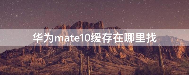 华为mate10缓存在哪里找