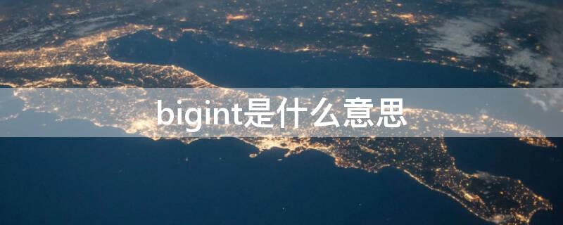 bigint是什么意思 bigin 什么意思