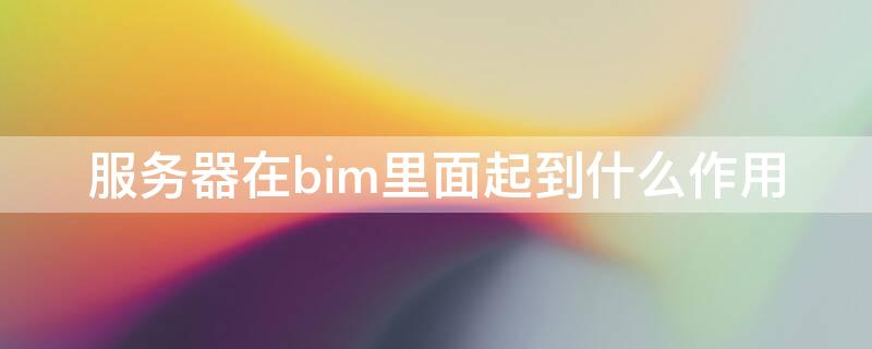 服务器在bim里面起到什么作用 服务器在bim里面起到什么作用和功能