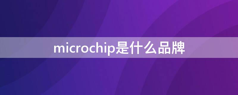 microchip是什么品牌（micron是什么牌子）