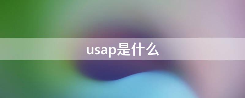 usap是什么（USAP是什么意思）
